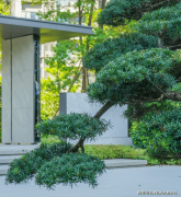 <b>进一步做到栋栋无遮挡</b>